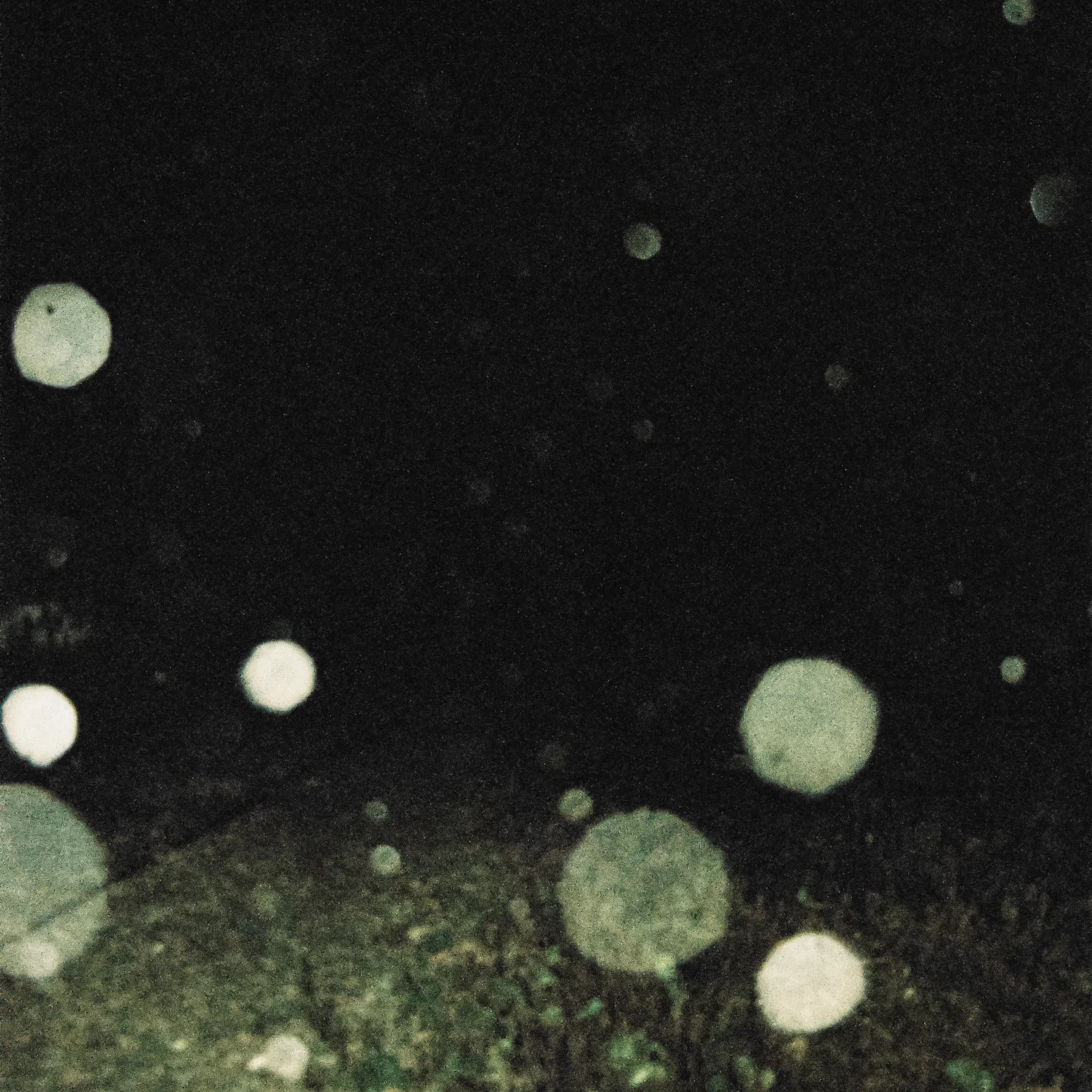 B009586 R1 24 25 2