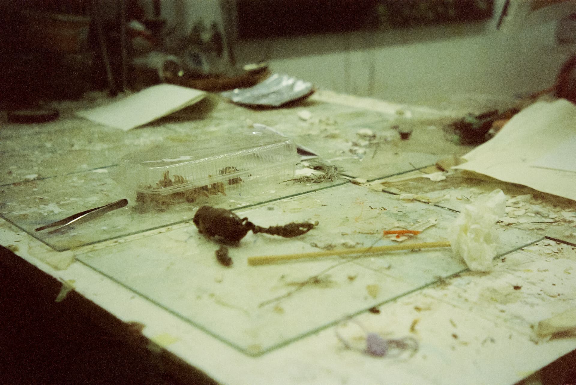 Gallery image